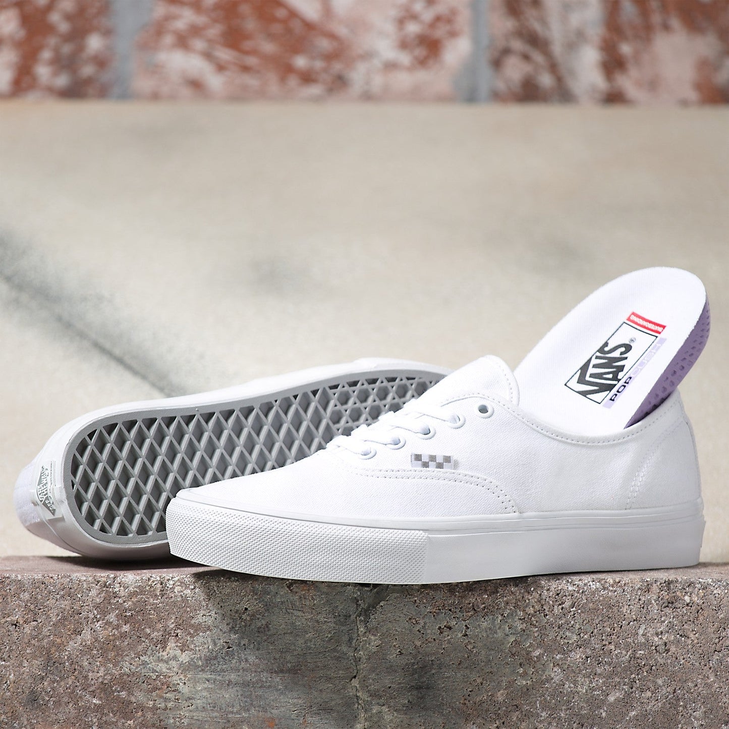 VANS SKATE AUTHENTIC TRUE WHITE SHOE