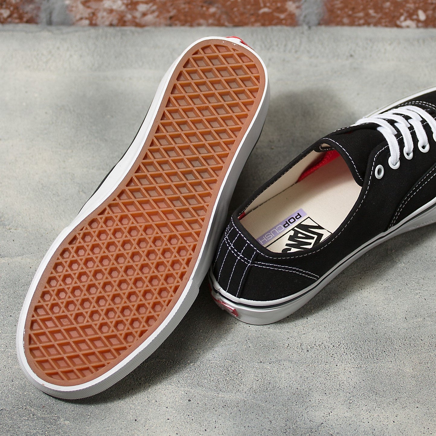 VANS SKATE AUTHENTIC BLACK AND WHITE SHOE