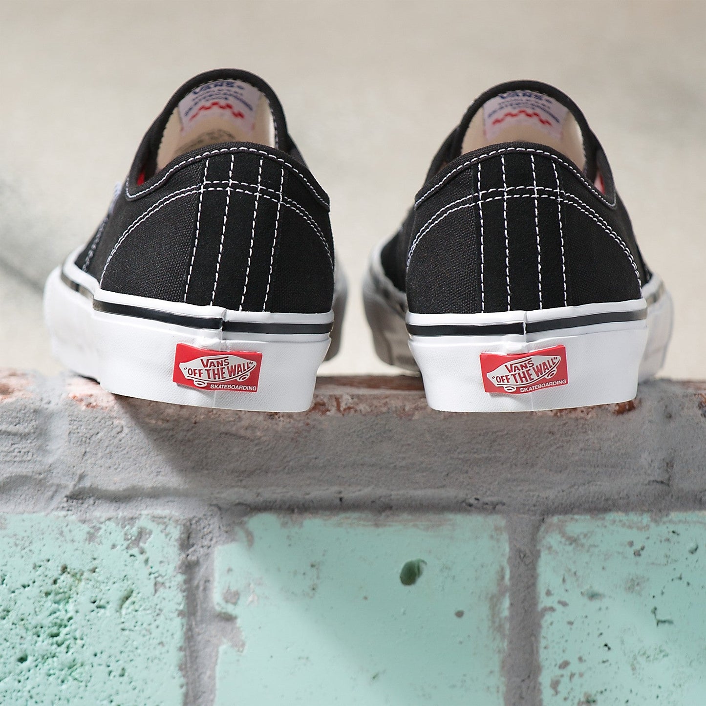 VANS SKATE AUTHENTIC BLACK AND WHITE SHOE