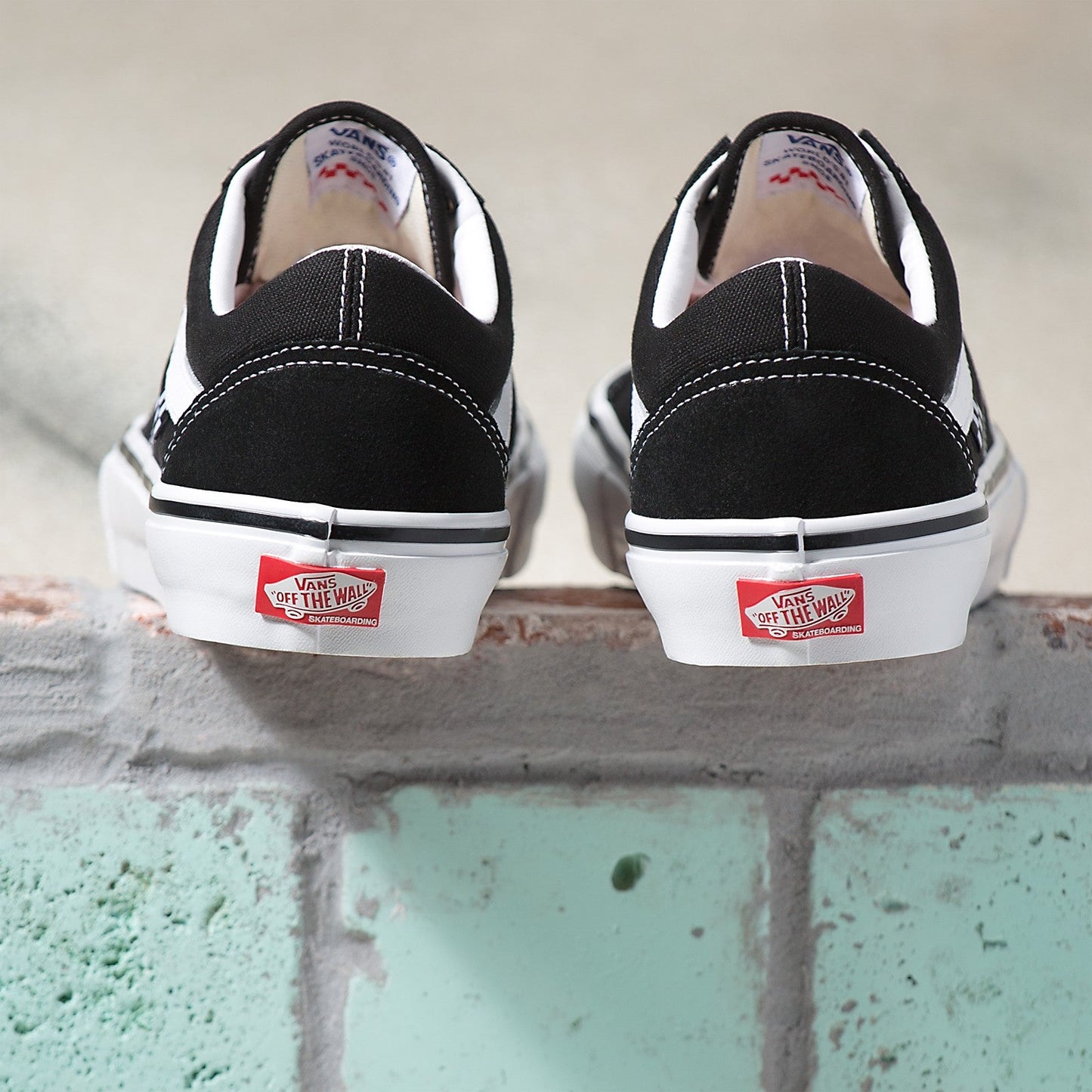 VANS SKATE OLD SKOOL BLACK AND WHITE SHOE